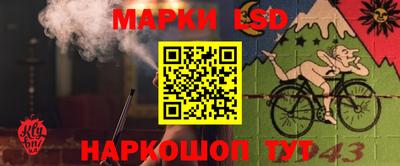 СК Апшеронск