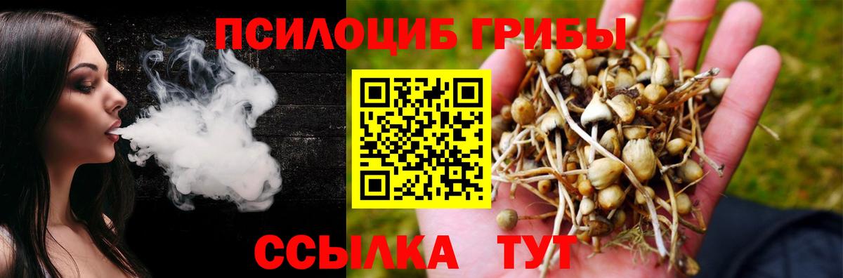 Галлюциногенные грибы мицелий  Вход с VPN  Киреевск 